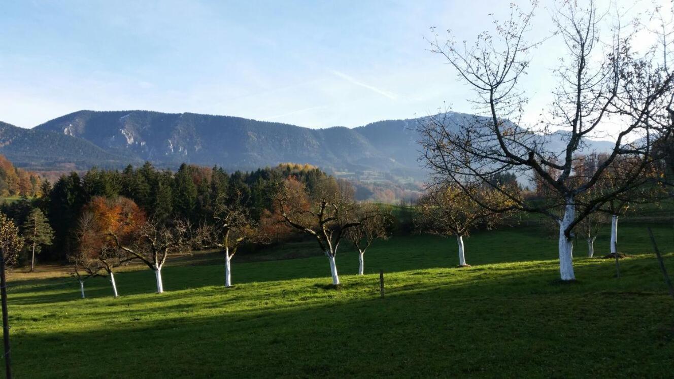 Weissnhof Villa Samerberg Eksteriør bilde